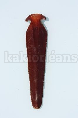 Sardines en Bakelite lot de 5 pièces