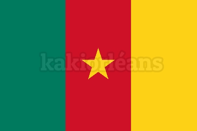 Drapeau Cameroun